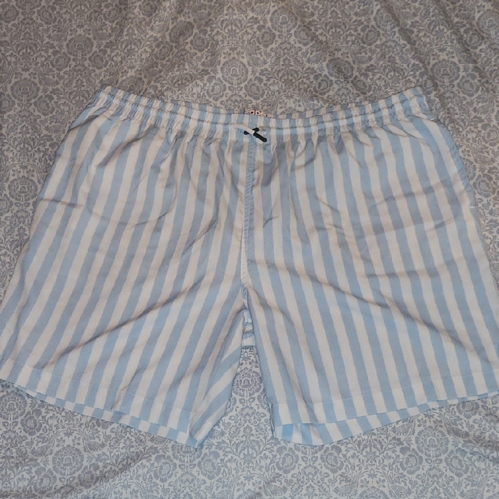Men's Blue Striped Swim Shorts